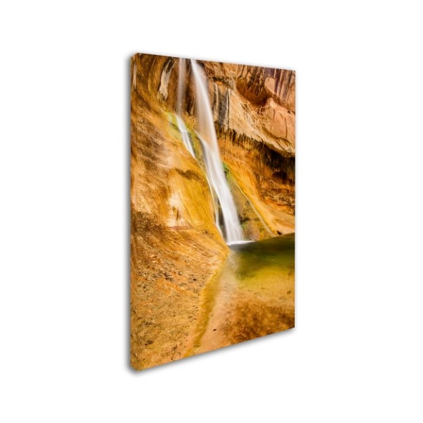 Michael Blanchette Photography 'Desert Oasis' Canvas Art,30x47